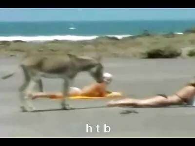 استریپر بوت ویدیو کس لعنتی با پول اضافی خراب می شود